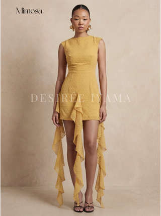 Jehlani Mini Dress