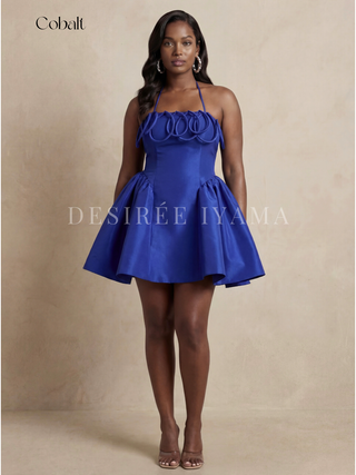 Meraki Mini Dress